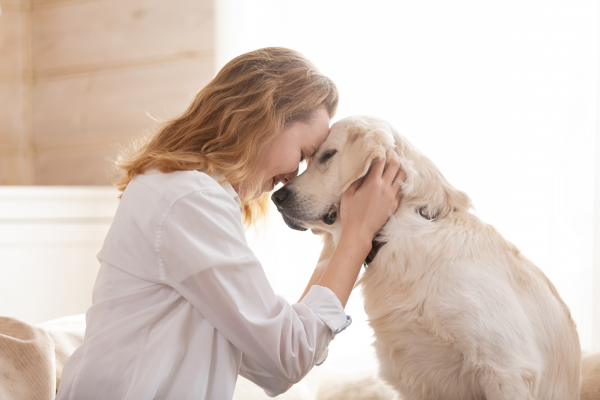 5 Smart Pet Gadgets That Make Life Easier When You’re Not Home